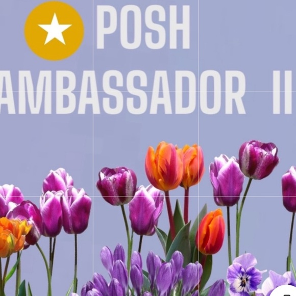 Sergio's 6pc Charcuterie Boards & and Knife Set NWT!! - Picture 5 of 8